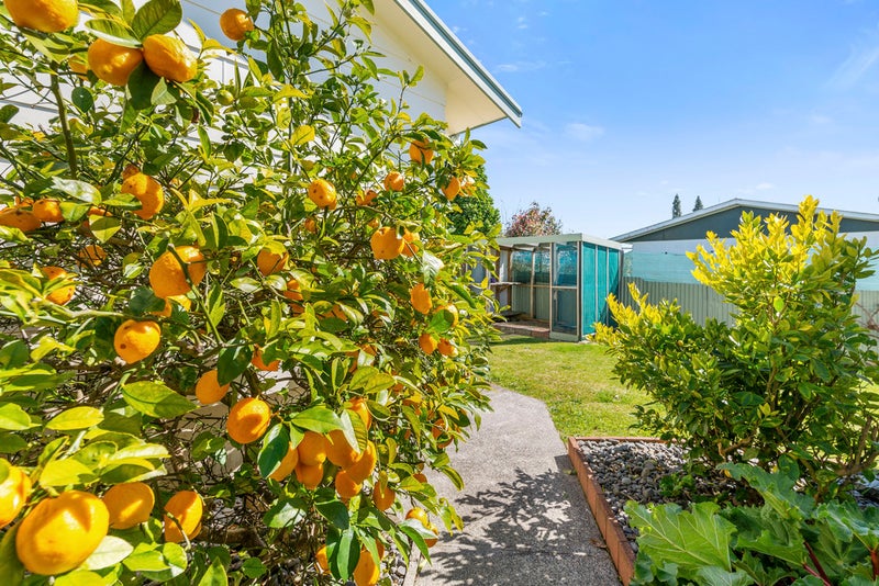 5 Kingdom Drive, Fairy Springs, Rotorua - Carousel 20