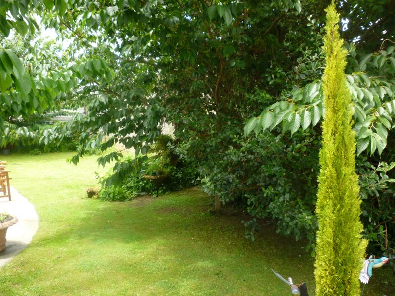 30 Mabey Road, Avalon, Lower Hutt - Carousel 11