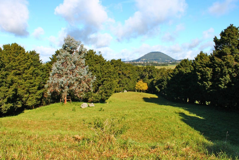 13A Newton Road, Whangarei - Carousel 1