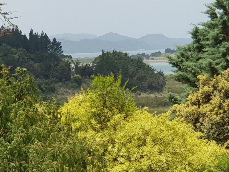 163 Mcgill Road, Whangarei - Carousel 2