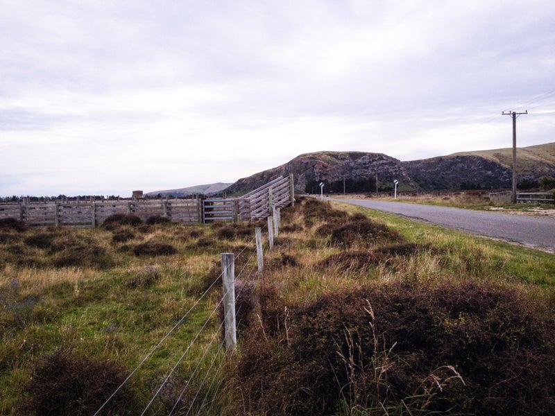 0 Forest View Road, Te Kamo, Kamo - Carousel 24