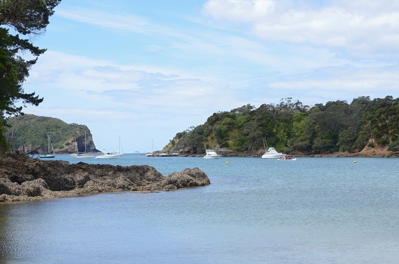 127 Tutukaka Block Road, Whangarei - Carousel 26