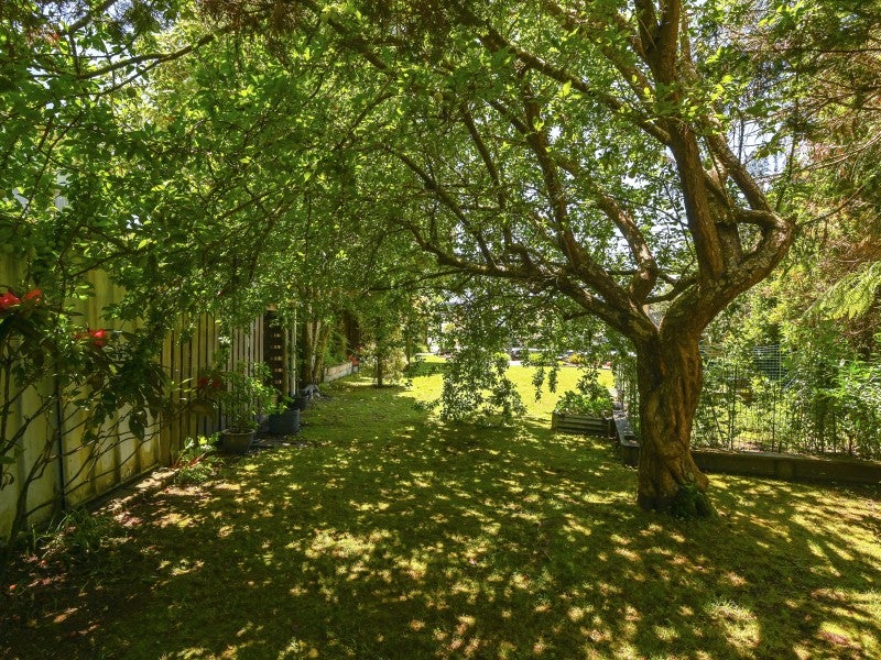 4 Diamond Street, Pukehangi, Rotorua - Carousel 15