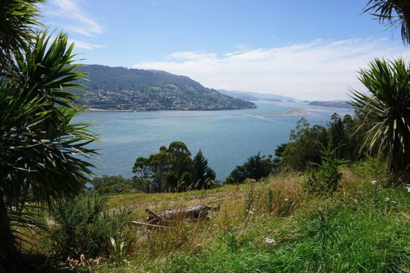 100 Connell Street, Waverley, Dunedin - Carousel 2