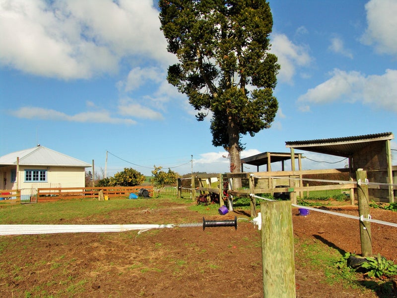 130 Kio Kio Station Road, Otorohanga, Otorohanga - Carousel 11