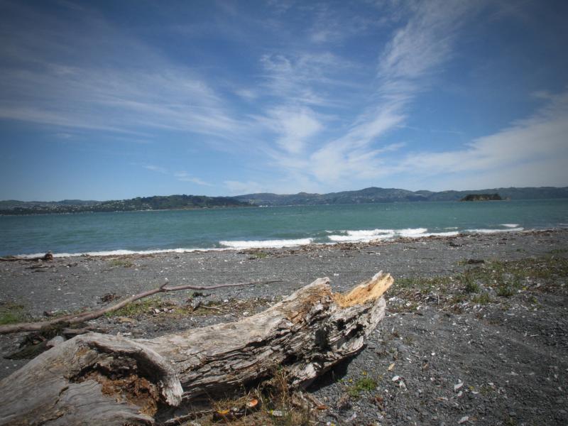 497 Muritai Road, Eastbourne, Lower Hutt - Carousel 5