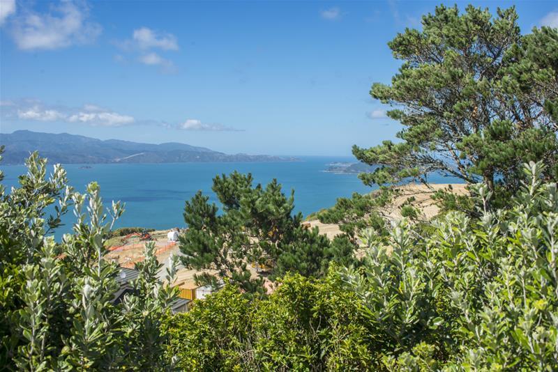 34A Kenmore Street, Newlands, Wellington - Carousel 1