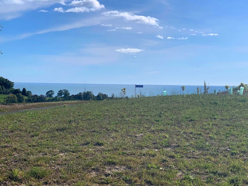 4 Te Momokai Lane, Upper Moutere - Carousel 2