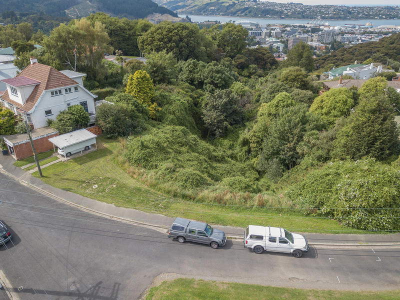22 Henry Street, Maori Hill, Dunedin - Carousel 1