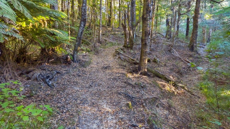 281A Katherine Mansfield Drive, Whitemans Valley, Upper Hutt - Carousel 19