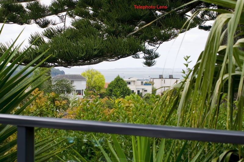 92A Coates Avenue, Orakei, Auckland - Carousel 19