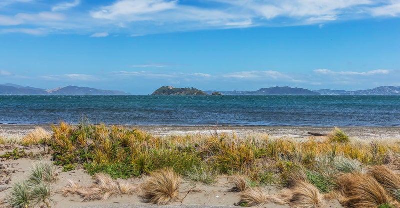 4 Tory Street, Petone, Lower Hutt - Carousel 25