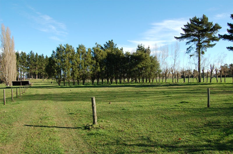 21 Hildreth Road, Putaruru - Carousel 2