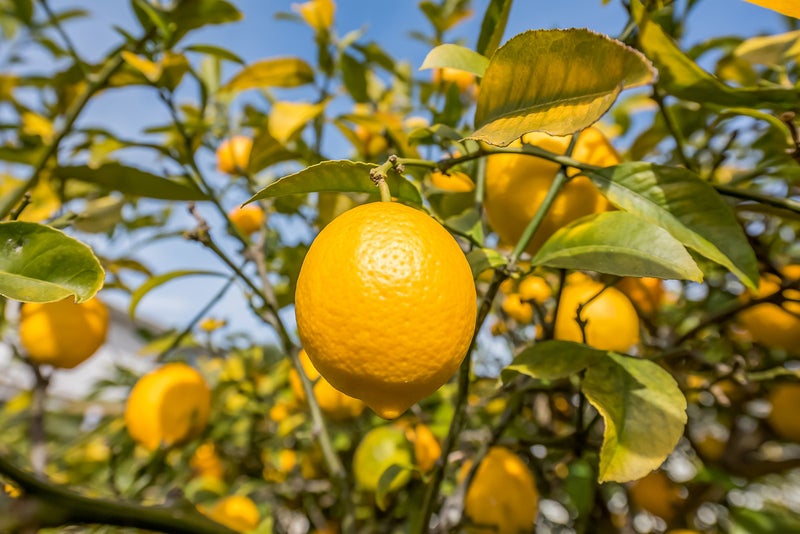 18 Helvetia Grove, Naenae, Lower Hutt - Carousel 22