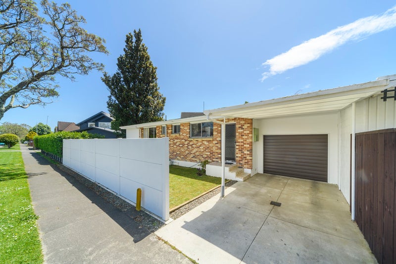 382 Albert Street, Hokowhitu, Palmerston North - Carousel 19
