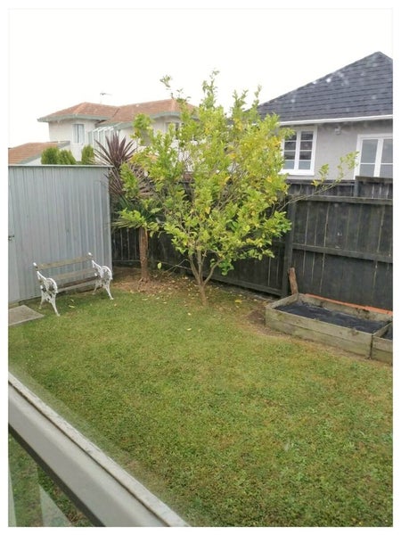 127A Saint Johns Road, Saint Johns, Auckland - Carousel 2