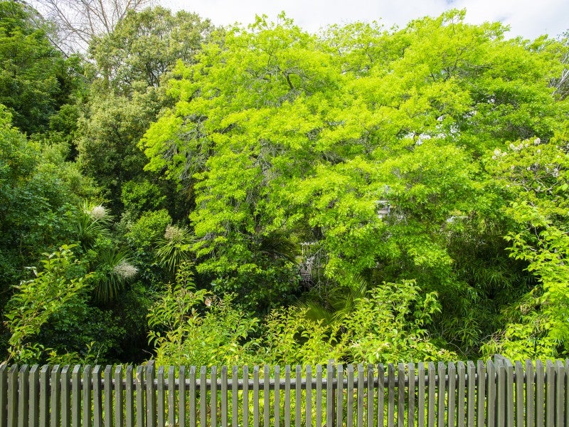 5 Russell Street, Whataupoko, Gisborne - Carousel 17