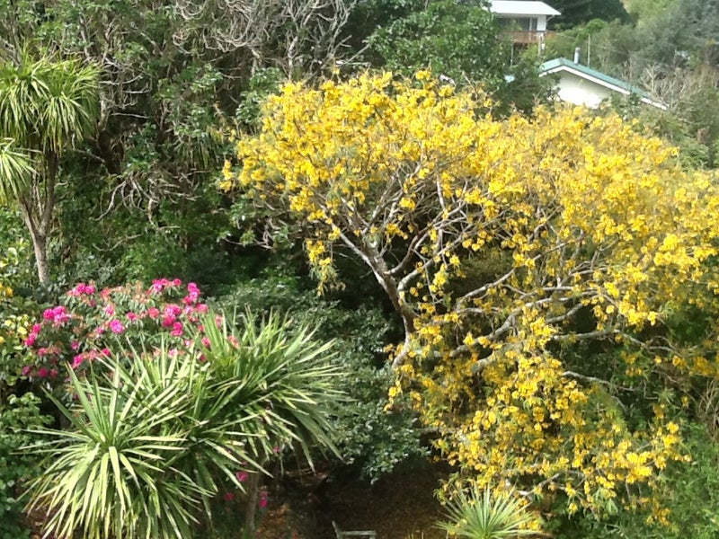 3 Bay View Place, Whangarei - Carousel 23