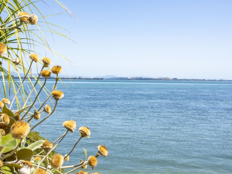 14 Strange Grove, Matua, Tauranga - Carousel 2