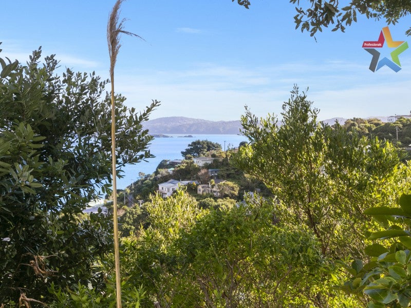 30 Waitohu Road, York Bay, Lower Hutt - Carousel 16