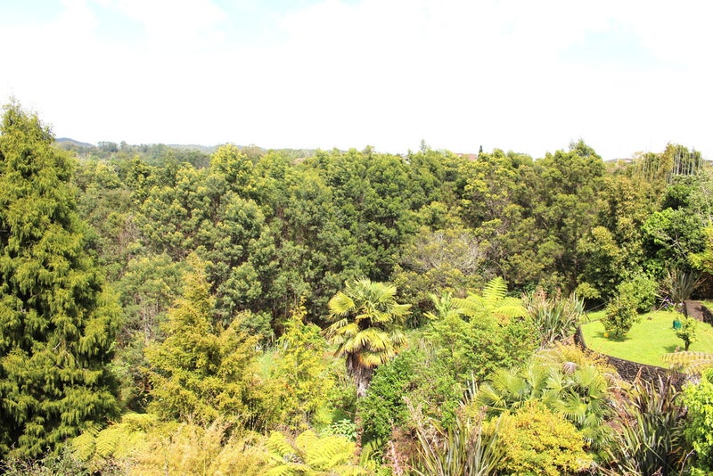 35 Isola Street, Raumanga, Whangarei - Carousel 12