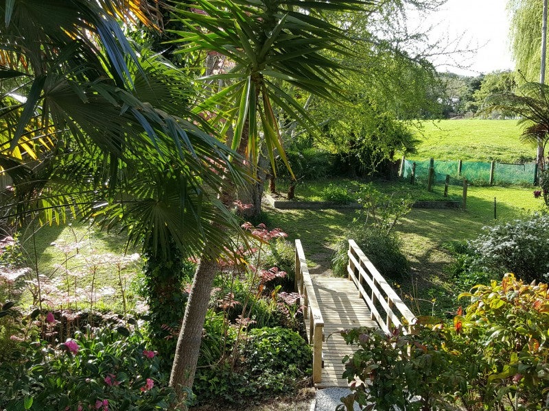8 Jellicoe Street, Mangapapa, Gisborne - Carousel 20
