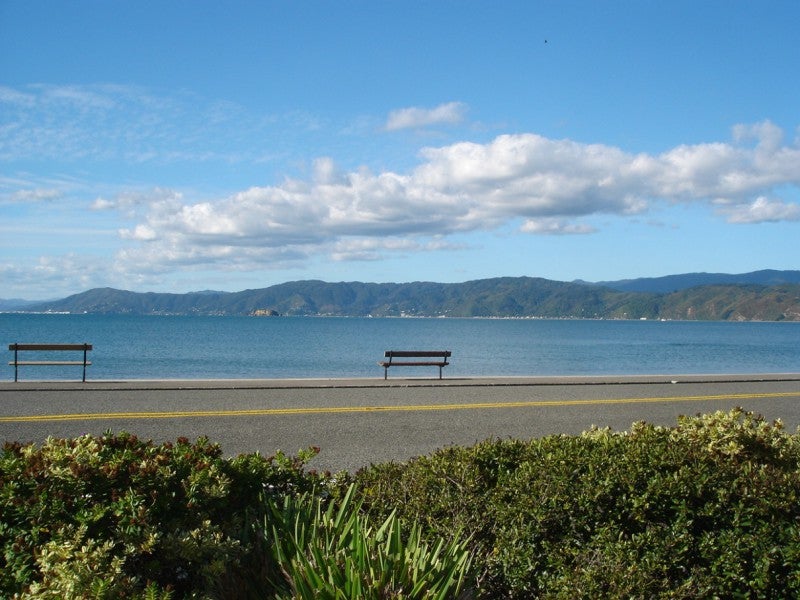 2/73 Marine Parade, Seatoun, Wellington - Carousel 1