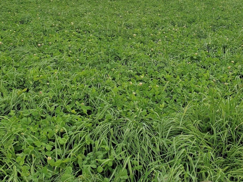 0 Pukehou Road, Manunui, Taumarunui - Carousel 1