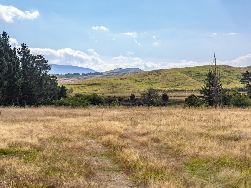 0 Mikimiki Road - Carousel 2