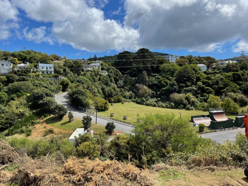 76 Curtis Street, Northland, Wellington - Carousel 1