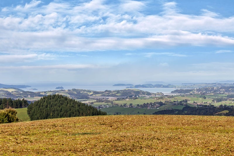 181A Govan Wilson Road, Warkworth - Carousel 26