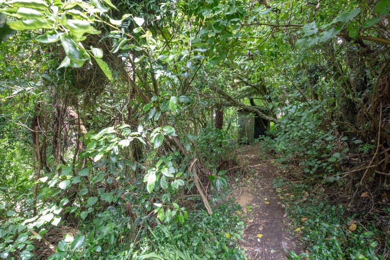 106 Donald Street, Karori, Wellington - Carousel 18