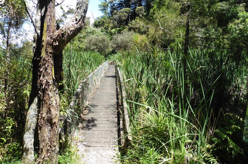 23 Wilding Avenue, Northcote Point, Auckland - Carousel 8