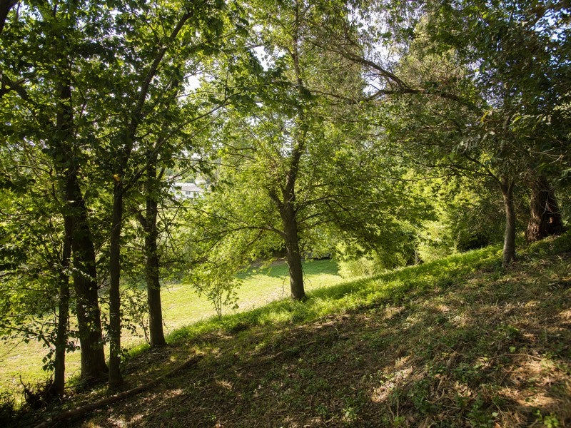 64 Lyell Road, Outer Kaiti, Gisborne - Carousel 26