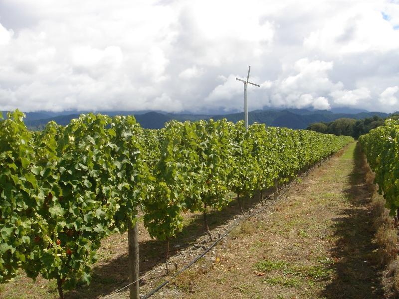 974 State Highway 63, Blenheim - Carousel 14