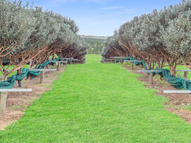 882 Kaitaia-Awaroa Road, Ahipara, Kaitaia - Carousel 26