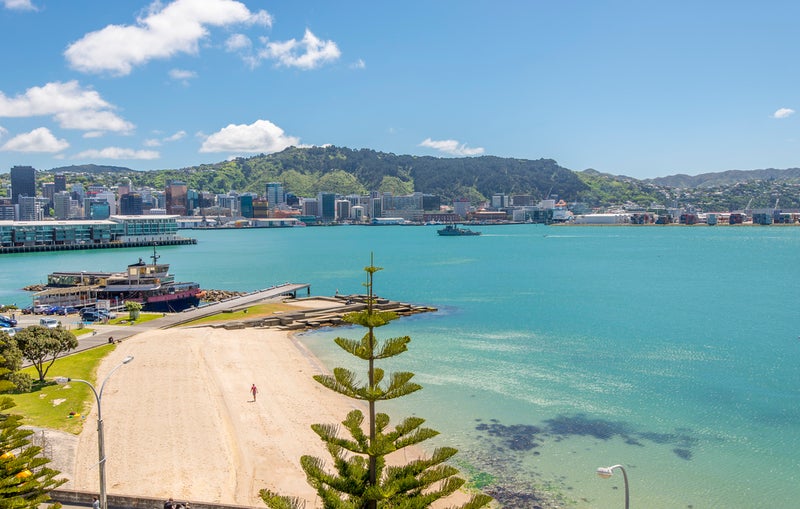 2A/172 Oriental Parade, Oriental Bay, Wellington - Carousel 2