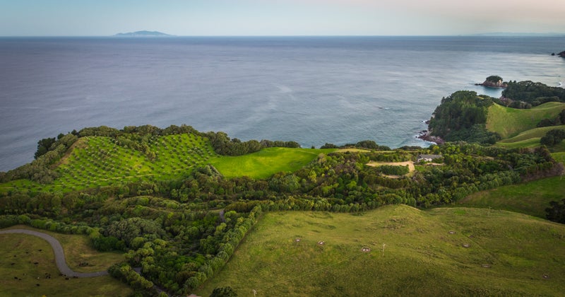 339 Onemana Drive, Onemana, Whangamatā - Carousel 2