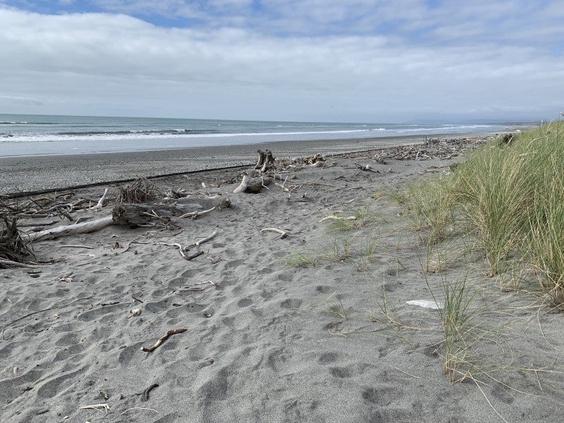 1160 Kumara Junction Highway, Awatuna - Carousel 8