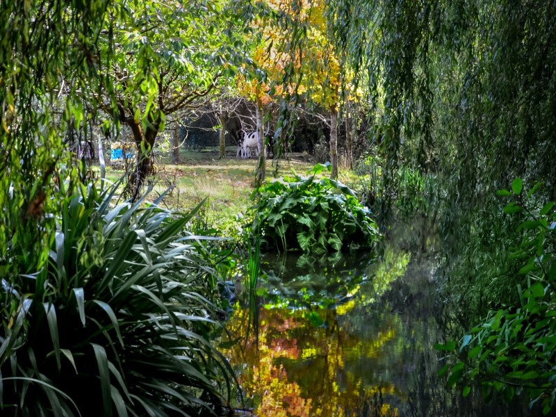 48A Nursery Road, Homebush, Masterton - Carousel 26