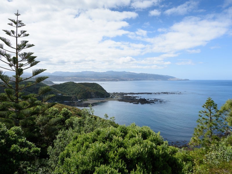 217 Buckley Road, Southgate, Wellington - Carousel 1