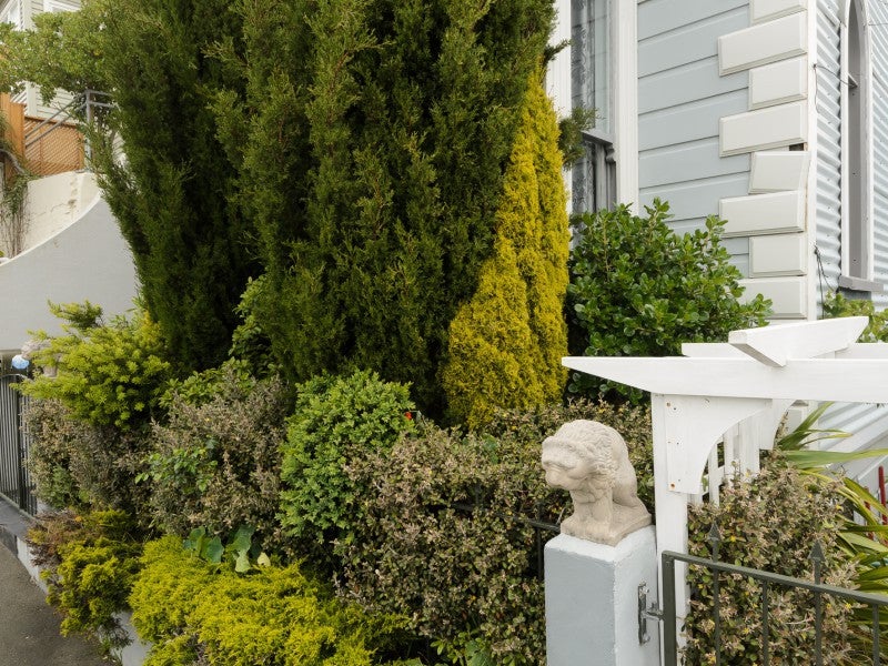 37 Hall Street, Newtown, Wellington - Carousel 2