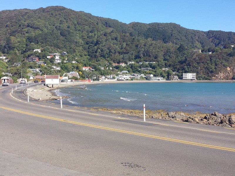 203 Marine Drive, Lowry Bay, Lower Hutt - Carousel 1