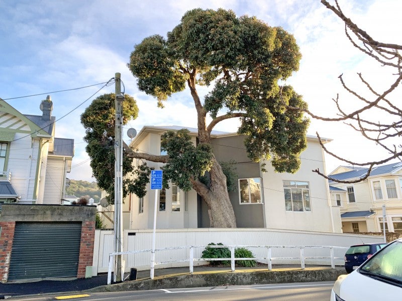 35A Hobson Crescent, Thorndon, Wellington - Carousel 13