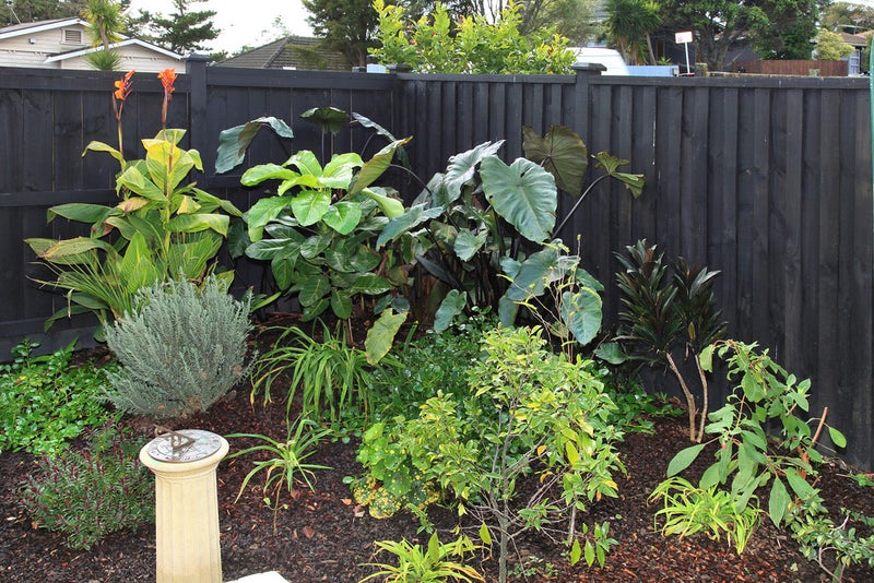 560A New North Road, Kingsland, Auckland - Carousel 14