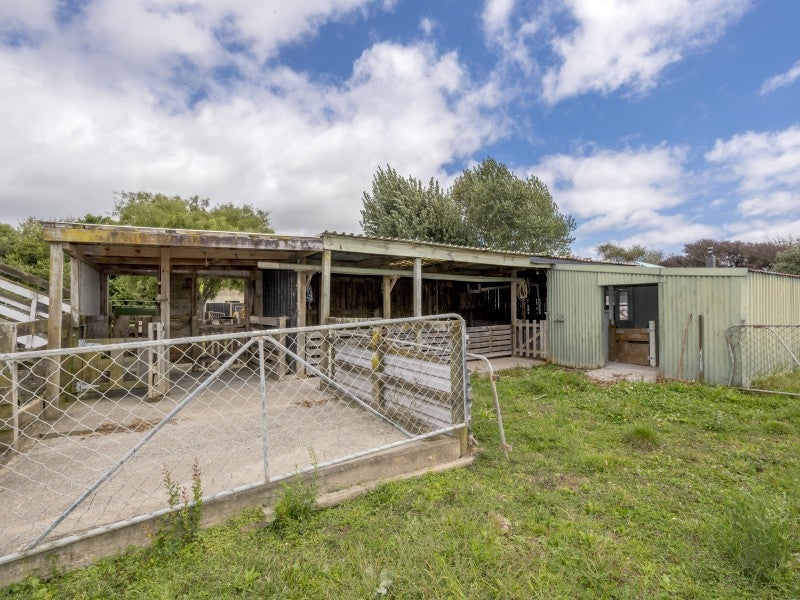 669 State Highway 1, Kuku, Levin - Carousel 17