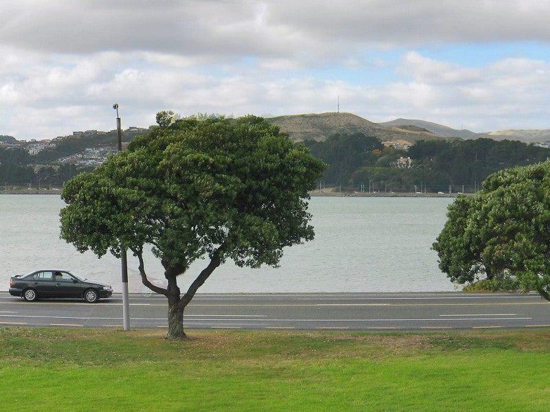 148 Te Pene Avenue, Titahi Bay, Porirua - Carousel 21