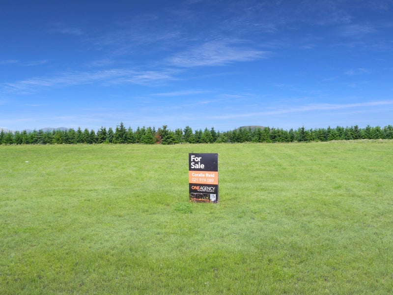 31 The Drive, Twizel - Carousel 2