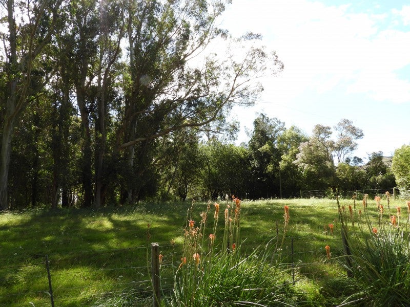 61 Station Road, Totara, Oamaru - Carousel 20