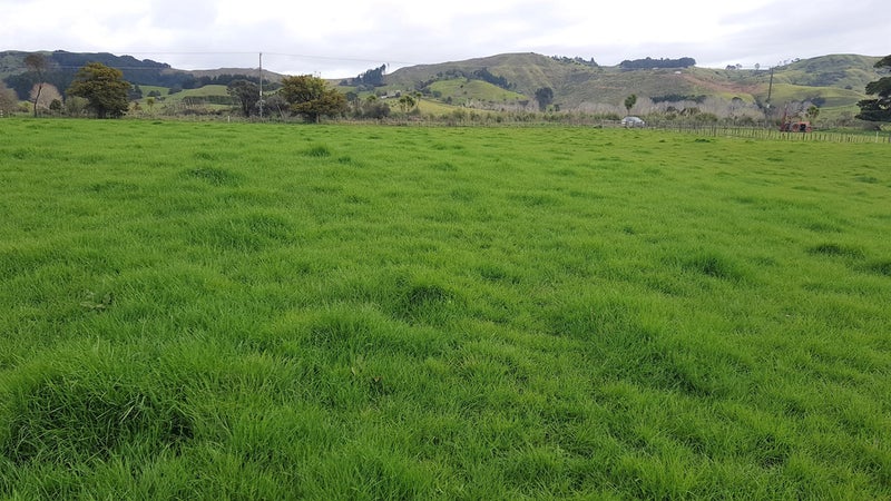 0 Old Woodcocks Road, Kaipara Flats, Warkworth - Carousel 4